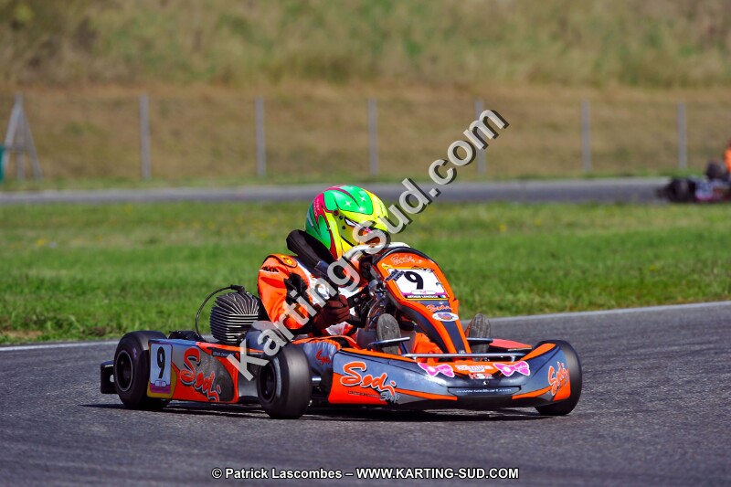 DSC_ (1280).jpg